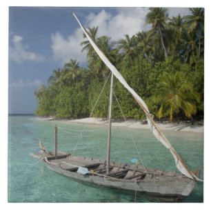 Carreau Maldives, Atoll de Malé Nord, île de Kuda