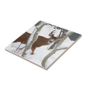 Carreau Mâle de cerfs communs dans la neige en hiver (Côté)