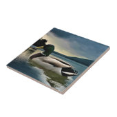 Carreau Mallard Duck (Côté)