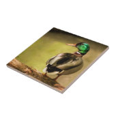 Carreau Mallard Duck (Côté)