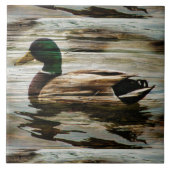 Carreau Mallard Duck (Devant)