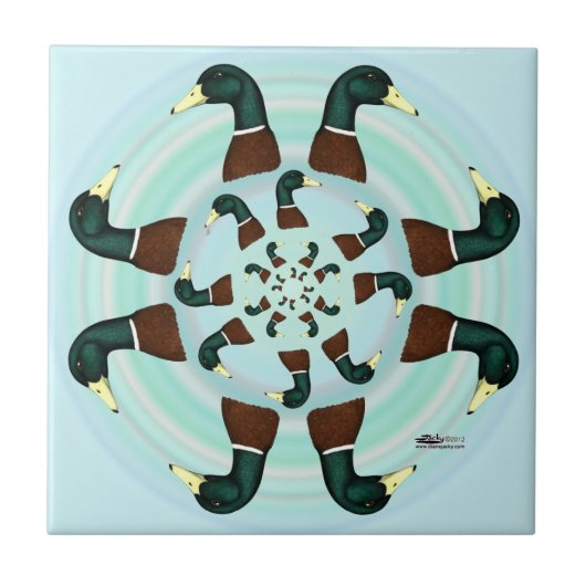 Carreau Mallards Galore ! (Devant)