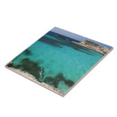 Carreau Malte, île de Comino, The Blue Lagoon (Côté)