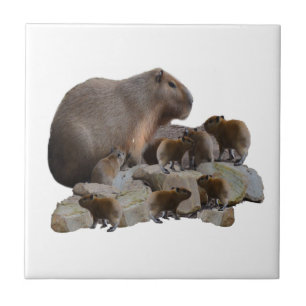 Carreau Maman et bébé capybaras,