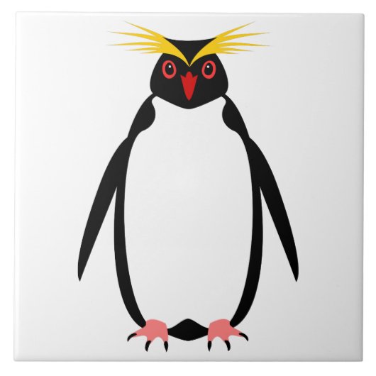 Carreau Manchot rockhopper ou macaroni drôle (Devant)