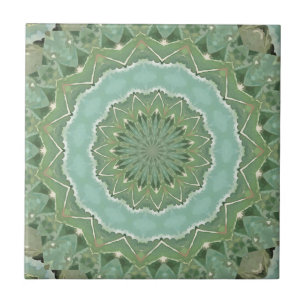 Carreau Mandala Succulent