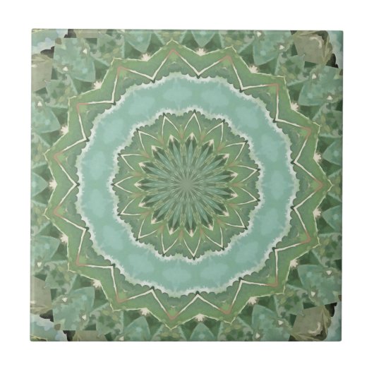 Carreau Mandala Succulent (Devant)
