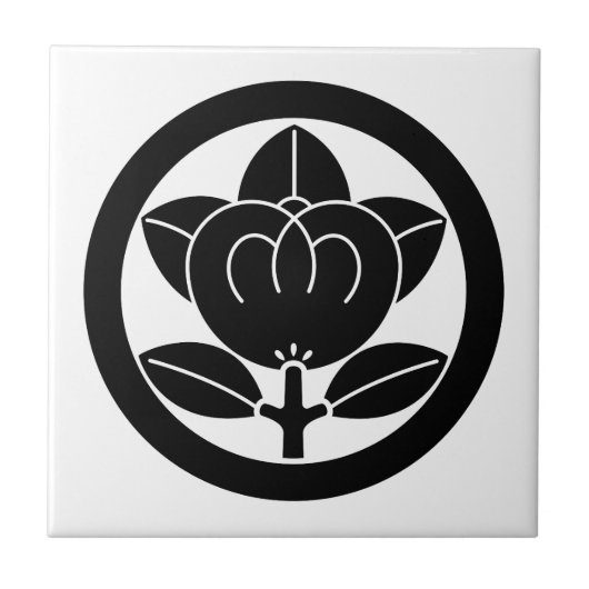 Carreau Mandarin orange dans un cercle (Devant)