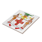 Carreau Manteau de la Jamaïque des bras (Côté)