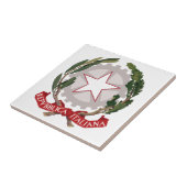 Carreau Manteau de l'Italie des bras (Côté)