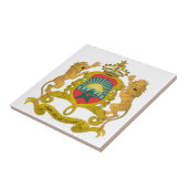 Carreau Manteau du Maroc des bras (Côté)