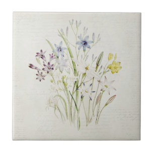 Carreau Manuscrit peint de cru de bouquet de fleur de