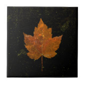 Carreau Maple Leaf Gold Jaune Black Country Fall Texture (Devant)