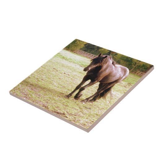 Carreau Marche Brown Relaxed de cheval (Côté)