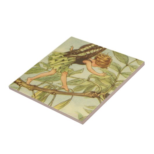 Carreau Marche de la fée des Ash Tree sur Branche (Côté)