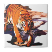 Carreau Marche du tigre (Devant)