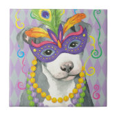 Carreau Mardi Gras Pit Bull Terrier (Devant)
