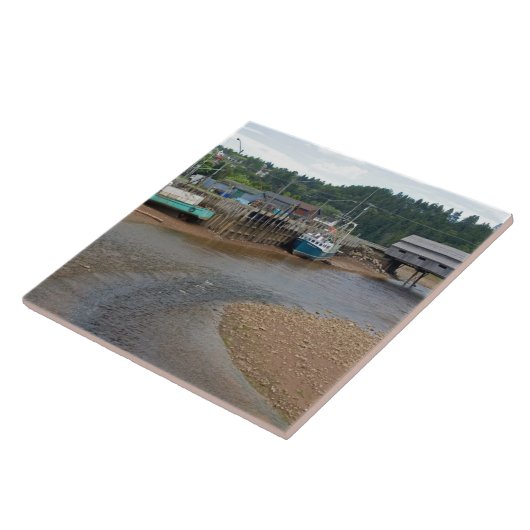 Carreau Marée basse dans la baie de Fundy à St. Martins, N (Côté)