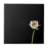 Carreau Marguerite (Devant)