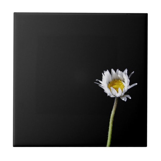 Carreau Marguerite (Devant)