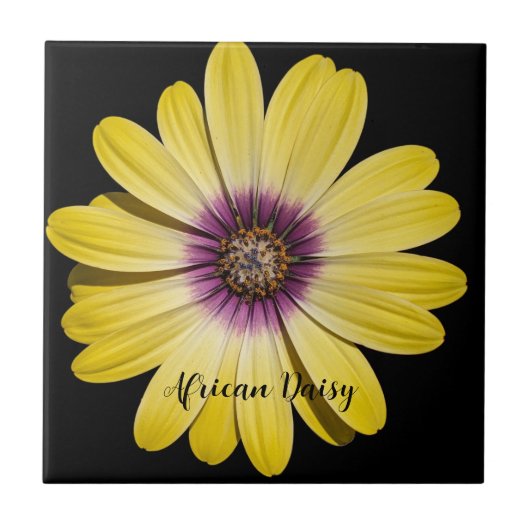 Carreau Marguerite africaine jaune sur fond floral noir (Devant)
