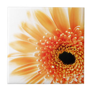 Carreau Marguerite gerbera
