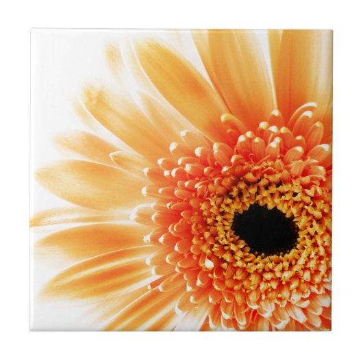 Carreau Marguerite gerbera (Devant)