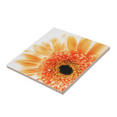 Carreau Marguerite gerbera (Côté)