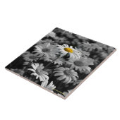 Carreau Marguerite jaune dans une mer de marguerites noire (Côté)