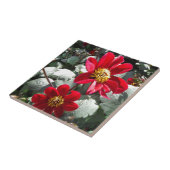 Carreau marguerite rose chaud rouge / marguerites fleurs (Côté)