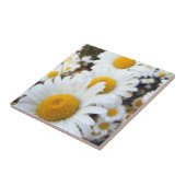 Carreau Marguerites (Côté)