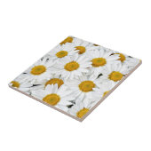 Carreau Marguerites (Côté)