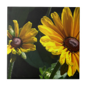 Carreau Marguerites à oeil noir