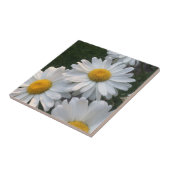 Carreau Marguerites blanches (Côté)