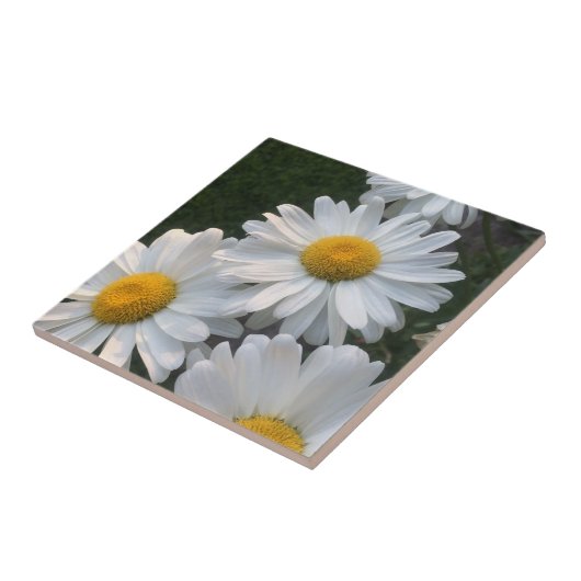 Carreau Marguerites blanches (Côté)