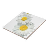 Carreau Marguerites de Shasta (Côté)