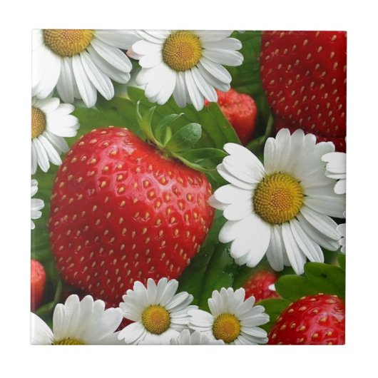 Carreau Marguerites et fraises (Devant)