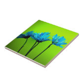 Carreau Marguerites turquoise turquoises sur les cadeaux d (Côté)