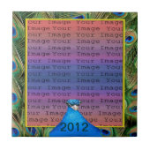 Carreau Mariage Peacock (Devant)