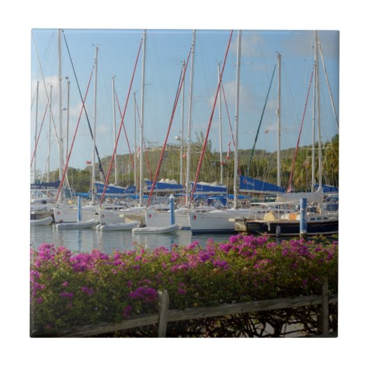 Carreau Marina de Virgin Gorda (Devant)