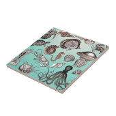 Carreau Marine (Côté)