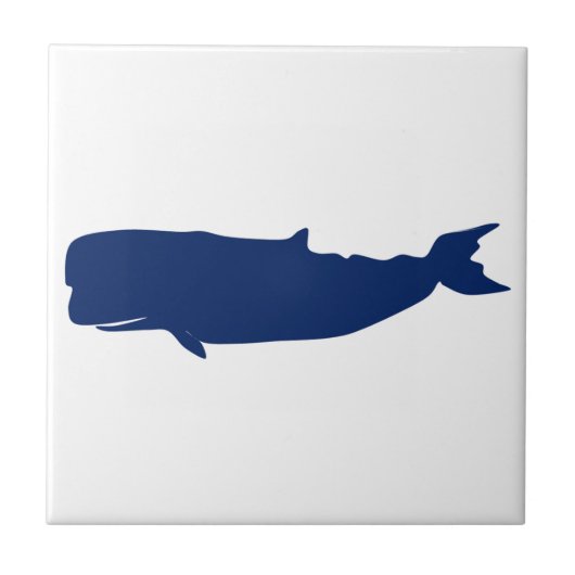 Carreau Marine de baleine (Devant)