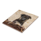 Carreau Marionnette allemande en panier (Côté)