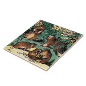 Carreau Marmotte - Famille Marmot (Côté)