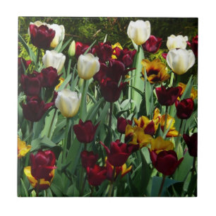 Carreau Maroon et Tulipes Jaunes Florales colorées