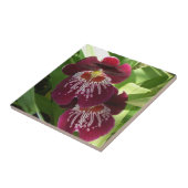 Carreau Maroon Orchids II (Côté)