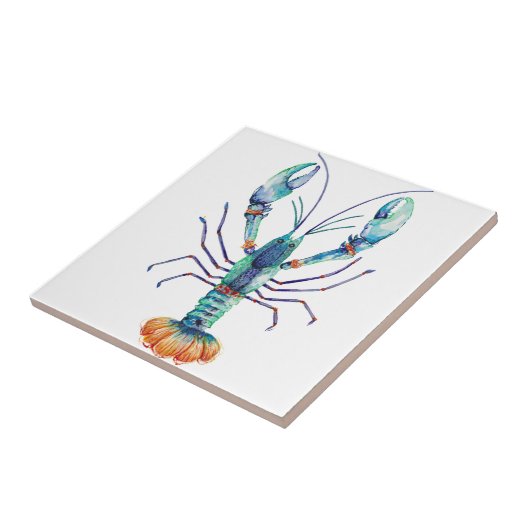 Carreau Marron (Côté)