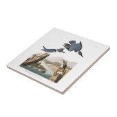 Carreau Martin-pêcheur ceinturé du plat 77 d'Audubon (Côté)