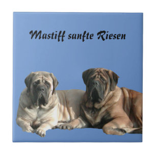 Carreau Mastiff Vacances English Mastiff