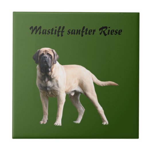 Carreau Mastiff Vacances Mastiff Anglais (Devant)